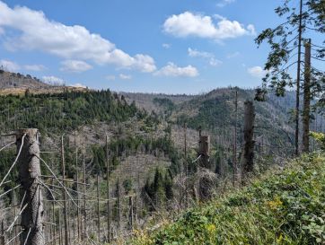 View of Rauschenbach Valley.