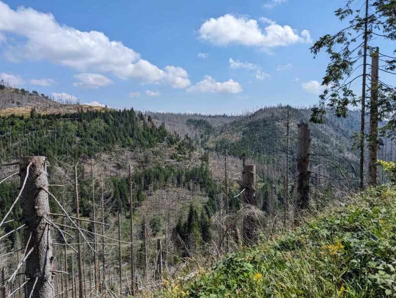 File:Rauschenbach Valley.jpg