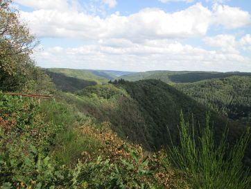 Hilly landscape near Bad Bertrich.
