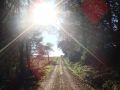 Thumbnail for version as of 15:45, 8 October 2025