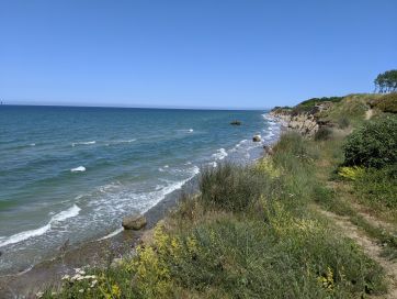 Baltic Sea Coast near Ahrenshoop.