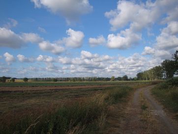 Fields near Charbrowo.