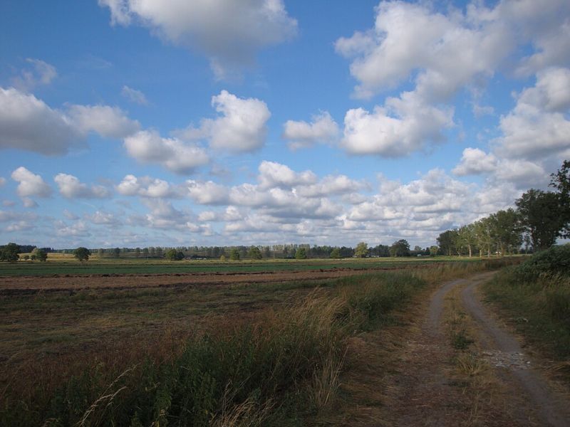 File:Charbrowo70.jpg
