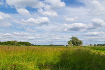 Luchwiesen nature preserve.