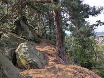 Hiking trail on the summit of the Teufelsmauer/Devil's Wall near Blankenburg.