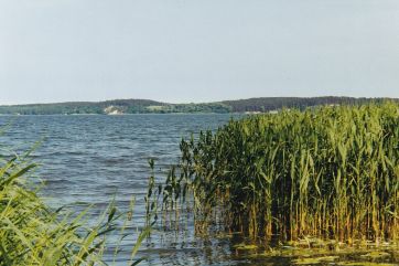Baltic Sea coast with view of Gnitz peninsula.