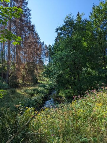 The Innerste River west of Clausthal-Zellerfeld.