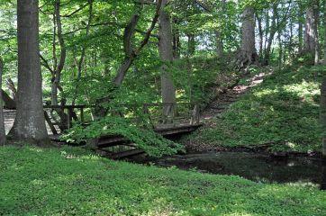 Forest path near Roloffshagen