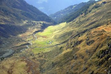 Alpine meadow near Sankt Gallenkirch.