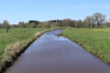 View of the Burlage-Langholter Tief.