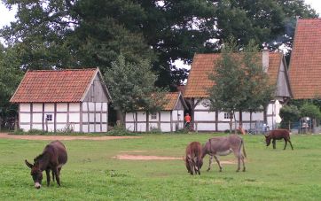 Eselhof estate in Langen.