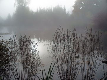 Lake at Bad Klosterlausnitz.