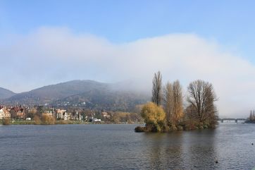 View of the river Neckar near Heidelberg.