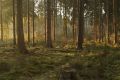 Thumbnail for version as of 03:30, 10 August 2025